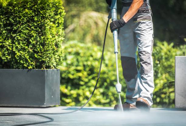 Best Sidewalk and Walkway Cleaning  in Oakland, MO